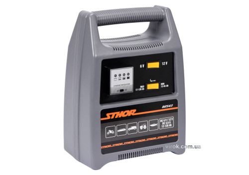 Зарядное устройство для аккумуляторов STHOR 82543